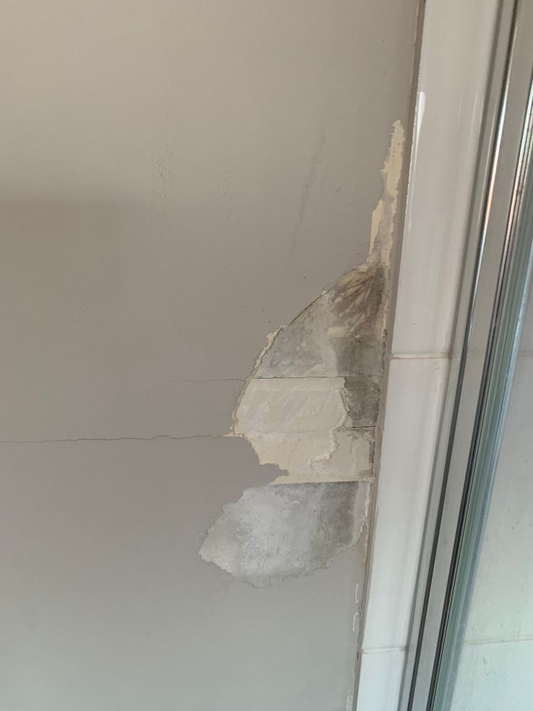 IMG_1895.jpg IMG_1895.jpg