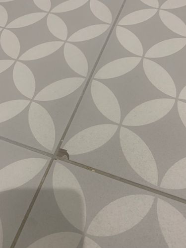 IMG_2980.jpeg IMG_2980.jpeg