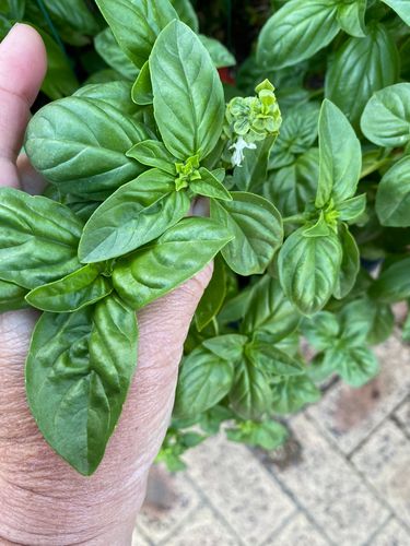 AEFD6BD5-829E-4BE3-95FD-2103931189BB.jpeg AEFD6BD5-829E-4BE3-95FD-2103931189BB.jpeg