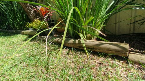 20251202_101345.jpg 20251202_101345.jpg