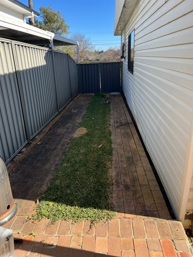 IMG_3763.jpeg IMG_3763.jpeg