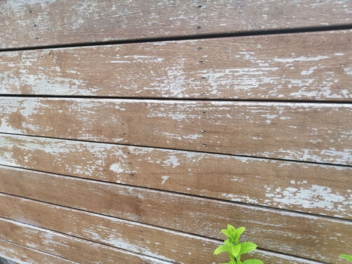 IMG_20211116_180455.jpg IMG_20211116_180455.jpg