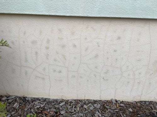 IMG_3179.jpeg IMG_3179.jpeg