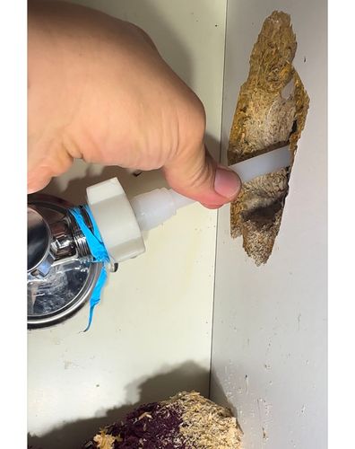 IMG_1155.jpeg IMG_1155.jpeg