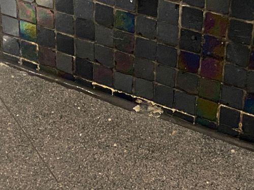 IMG_4801.jpeg IMG_4801.jpeg