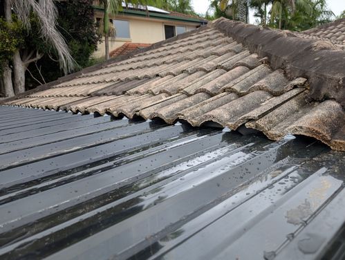 1000003621.jpg 1000003621.jpg