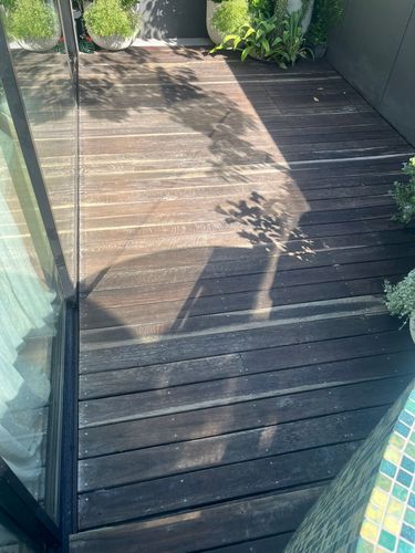 4EE4EB6A-F73B-4C00-8F10-575AD8458634_1_102_o.jpeg 4EE4EB6A-F73B-4C00-8F10-575AD8458634_1_102_o.jpeg