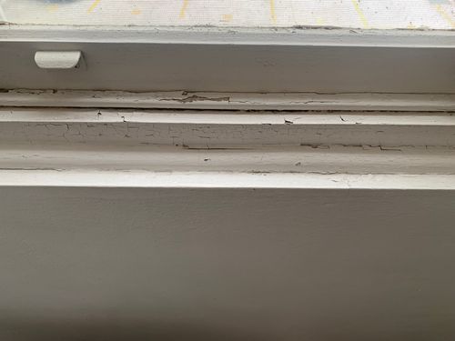 IMG_3971.jpeg IMG_3971.jpeg