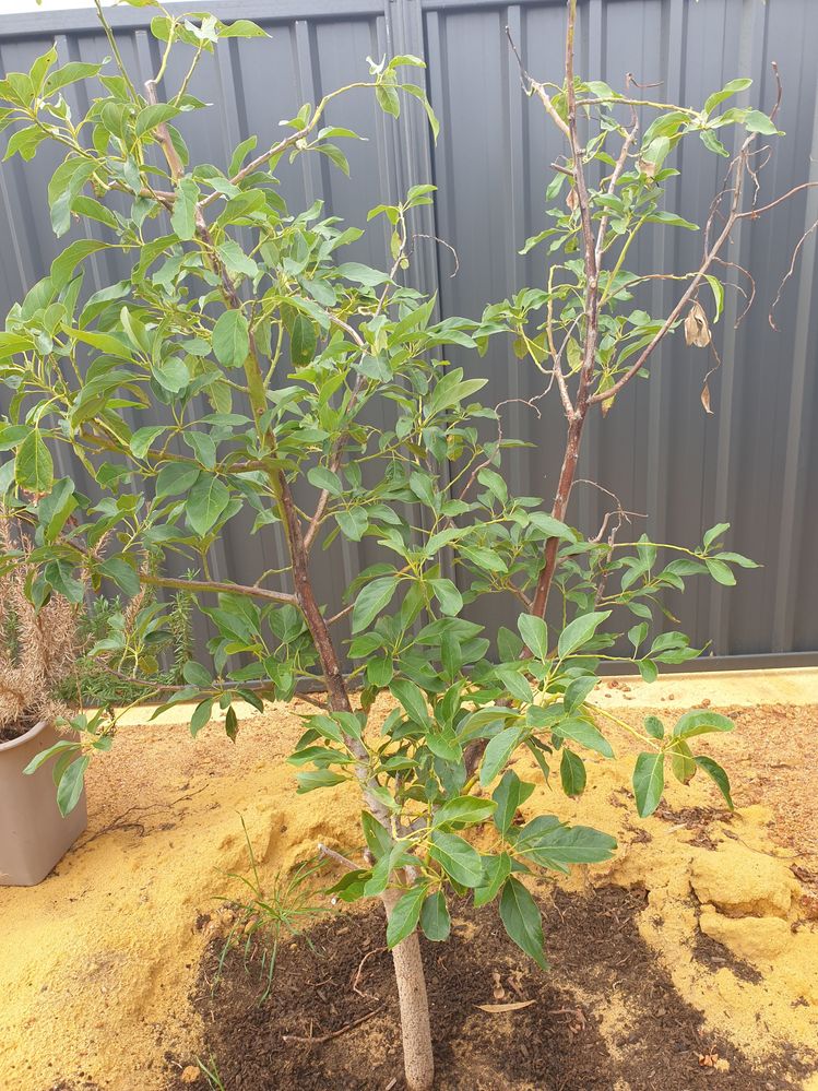 20220518_093320.jpg 20220518_093320.jpg