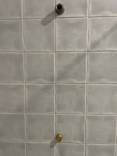 IMG_7826.jpeg IMG_7826.jpeg