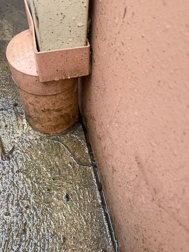 IMG_9449.jpeg IMG_9449.jpeg