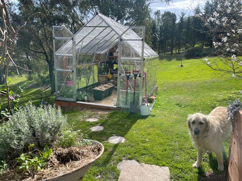 0689E7EC-FCA1-4139-AEAE-261A2B605C8E.jpeg 0689E7EC-FCA1-4139-AEAE-261A2B605C8E.jpeg