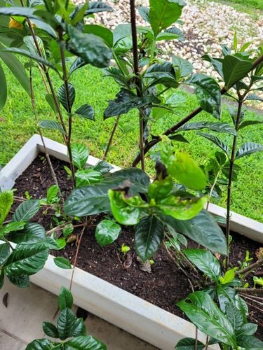 20241201_100534.jpg 20241201_100534.jpg