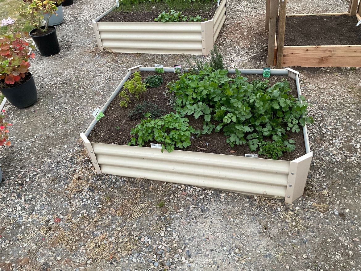 A6B3F646-BBE5-411F-BC97-F89FE80E91F4.jpeg A6B3F646-BBE5-411F-BC97-F89FE80E91F4.jpeg