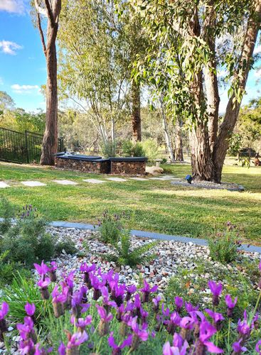 20251015_163914(1).jpg 20251015_163914(1).jpg