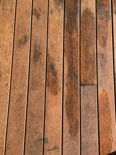 IMG_1425.jpeg IMG_1425.jpeg