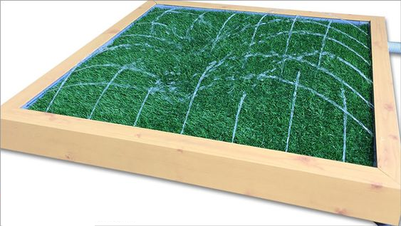 Dogtoilet.png Dogtoilet.png