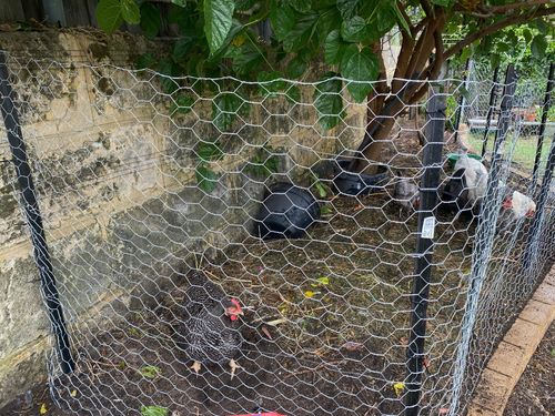 037D4EDB-7447-4AF5-A616-106306FE6025.jpeg 037D4EDB-7447-4AF5-A616-106306FE6025.jpeg