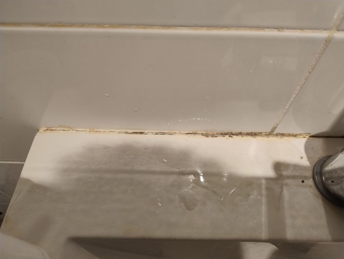 IMG_20240817_123558295.jpg IMG_20240817_123558295.jpg