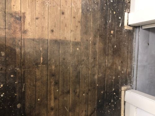 A088CC1B-8B6F-4D0C-B819-15A33D211157.jpeg A088CC1B-8B6F-4D0C-B819-15A33D211157.jpeg