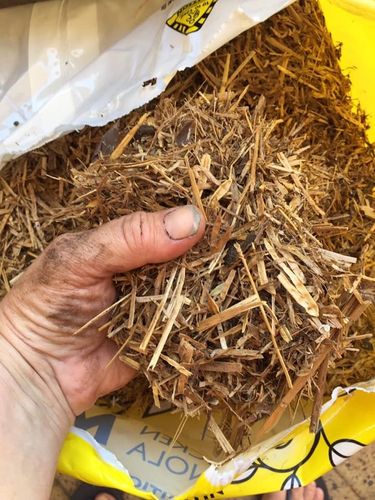 183ED0E7-43CC-4A98-B65C-2558567E7D6F.jpeg 183ED0E7-43CC-4A98-B65C-2558567E7D6F.jpeg