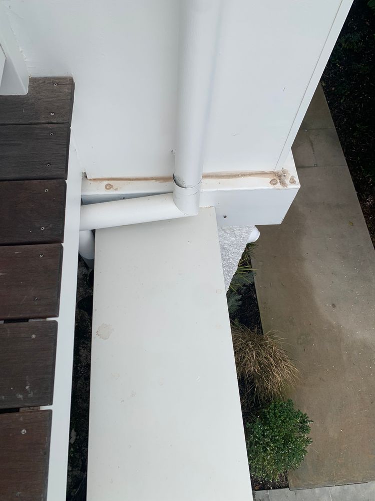 IMG_8088.jpg IMG_8088.jpg