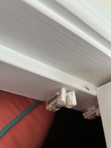 Roller catch.jpg Roller catch.jpg