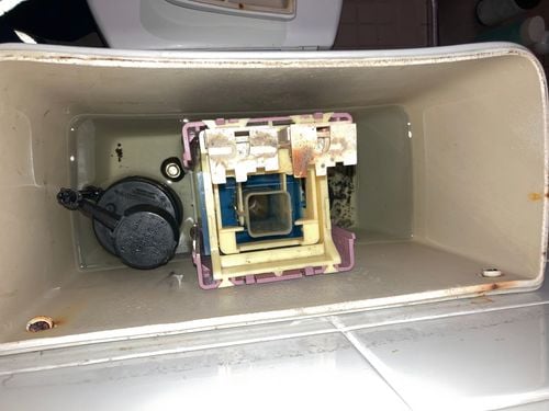 IMG_9814.jpeg IMG_9814.jpeg