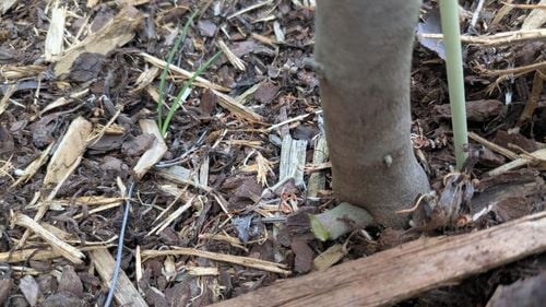 1000013787.jpg 1000013787.jpg