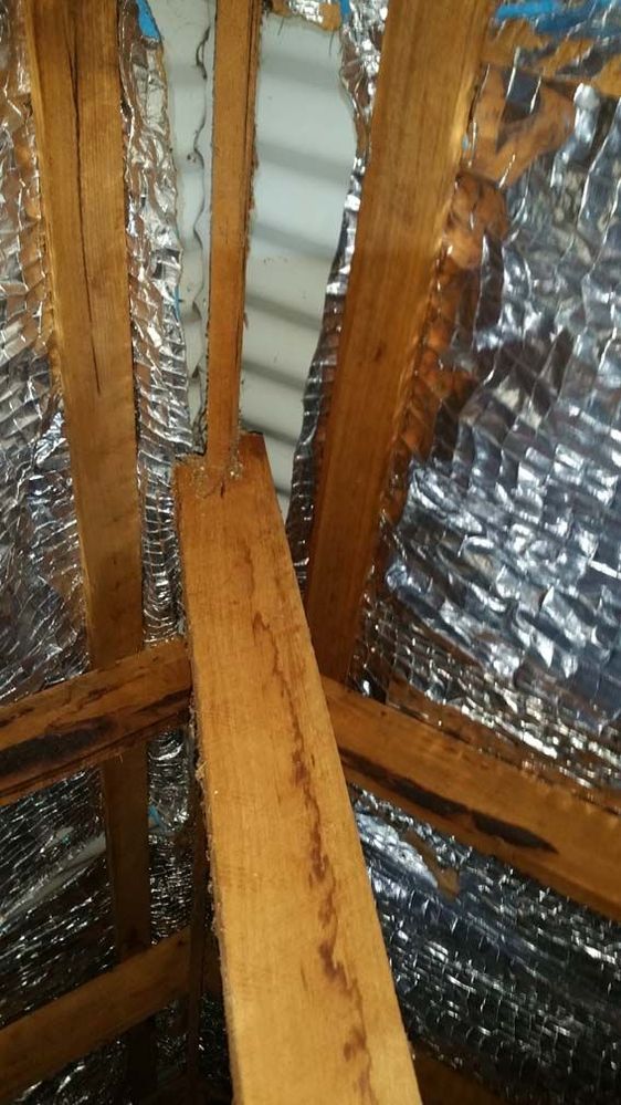 20190202_143857.jpg 20190202_143857.jpg