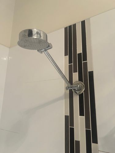 IMG_8225.jpeg IMG_8225.jpeg