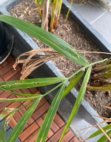 00767860-6293-48AC-BCA3-A6C9CBB1D885.jpeg 00767860-6293-48AC-BCA3-A6C9CBB1D885.jpeg