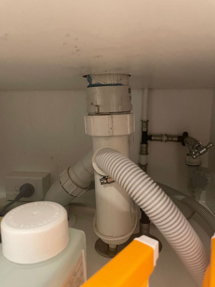 IMG_3154.jpeg IMG_3154.jpeg