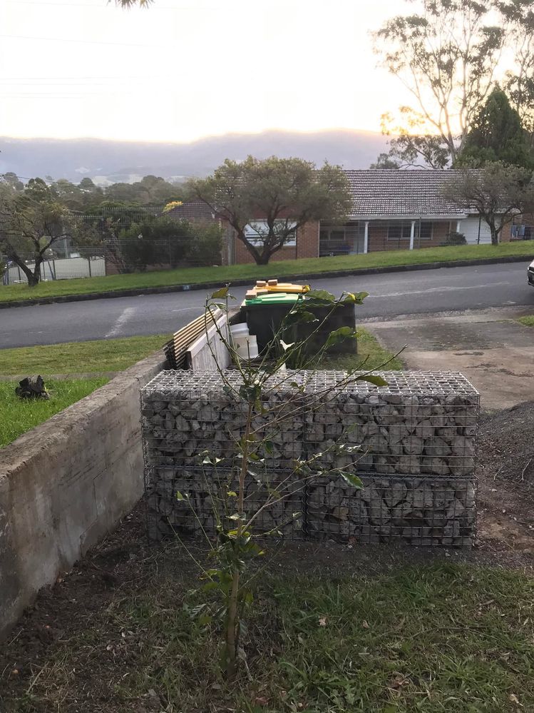 29 14-06-2022.jpg 29 14-06-2022.jpg