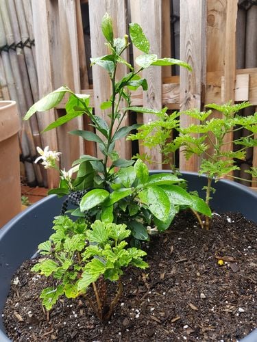 20231125_132401.jpg 20231125_132401.jpg