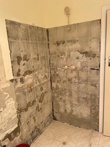 IMG_4269.jpeg IMG_4269.jpeg