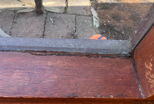 Screenshot 2024-09-23 at 11.16.10 AM.png Screenshot 2024-09-23 at 11.16.10 AM.png