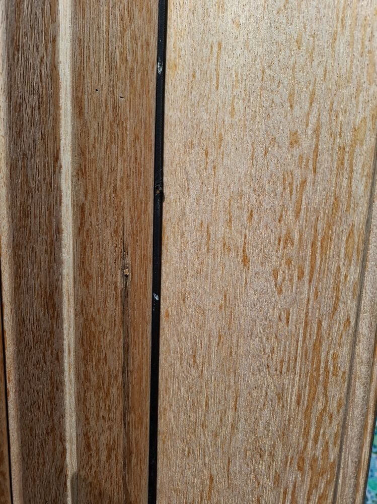 20240924_123205.jpg 20240924_123205.jpg