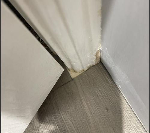 Sugar_4-1748223566057.png Sugar_4-1748223566057.png