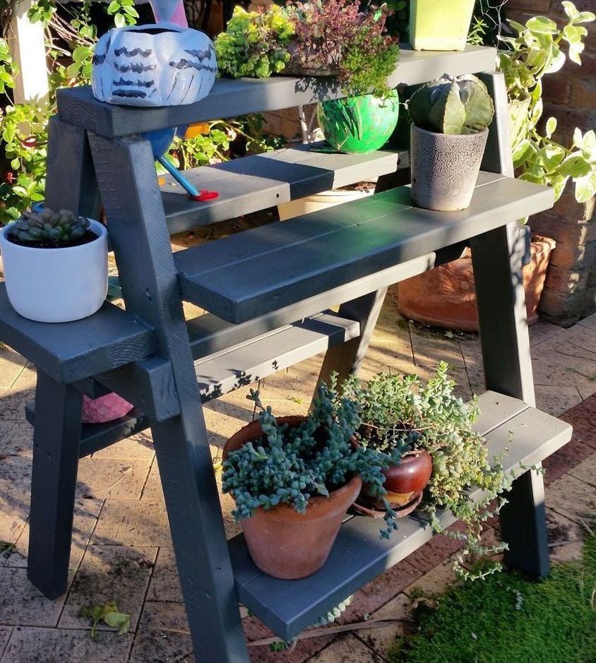 Succulent stand by Nightjar.jpeg Succulent stand by Nightjar.jpeg