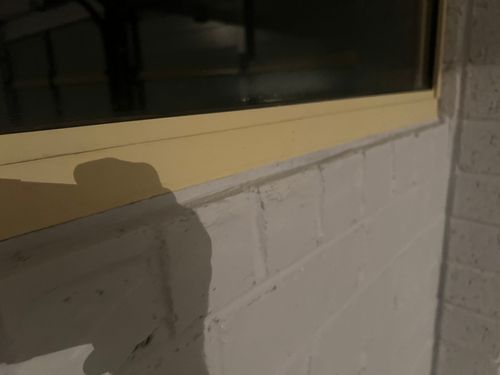 IMG_9611.jpeg IMG_9611.jpeg