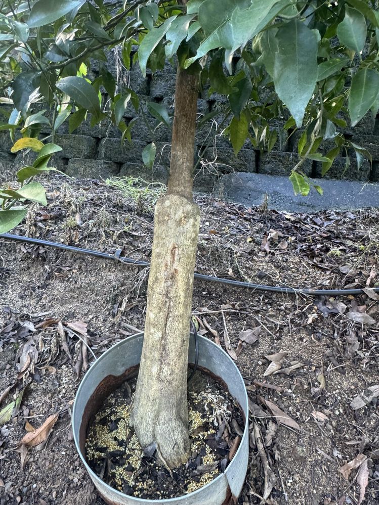 IMG_2719.jpg IMG_2719.jpg