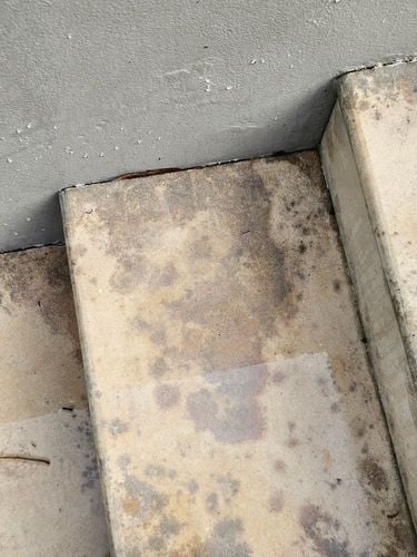 1000011233.jpg 1000011233.jpg