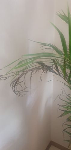 20240102_083756.jpg 20240102_083756.jpg