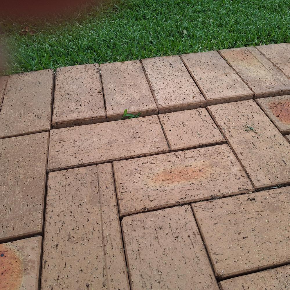 20241111_140950.jpg 20241111_140950.jpg