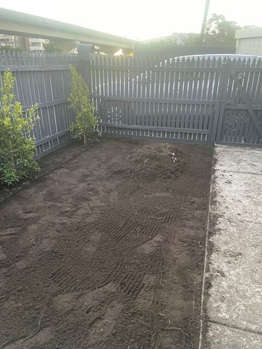 IMG_6887.jpeg IMG_6887.jpeg