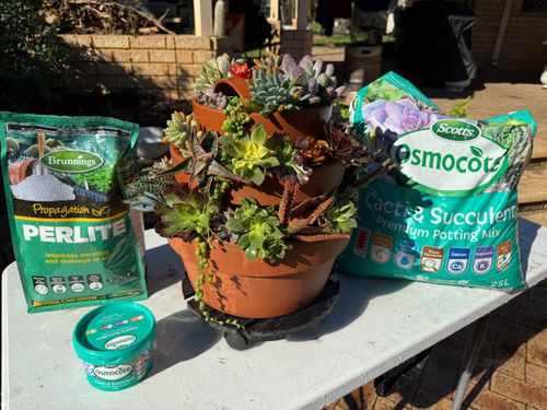 IMG_1216.jpeg IMG_1216.jpeg