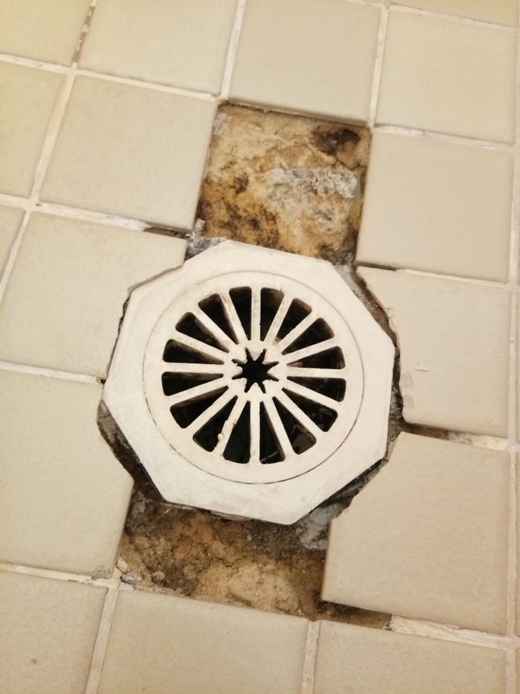 IMG_20181221_083823 (1).jpg IMG_20181221_083823 (1).jpg