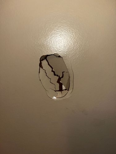 IMG_0224.jpeg IMG_0224.jpeg