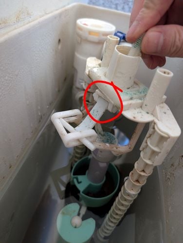 1000058061.jpg 1000058061.jpg